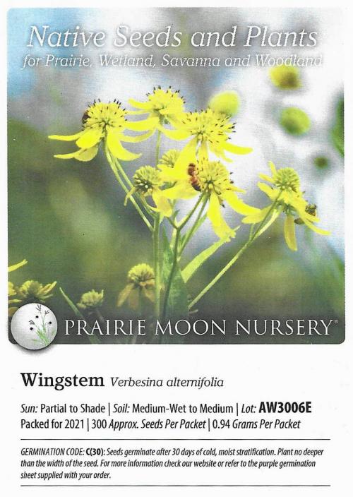 Verbesina alternifolia, Wingstem 
