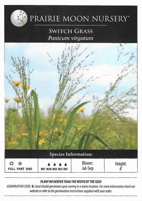 Panicum virgatum, Switch Grass  