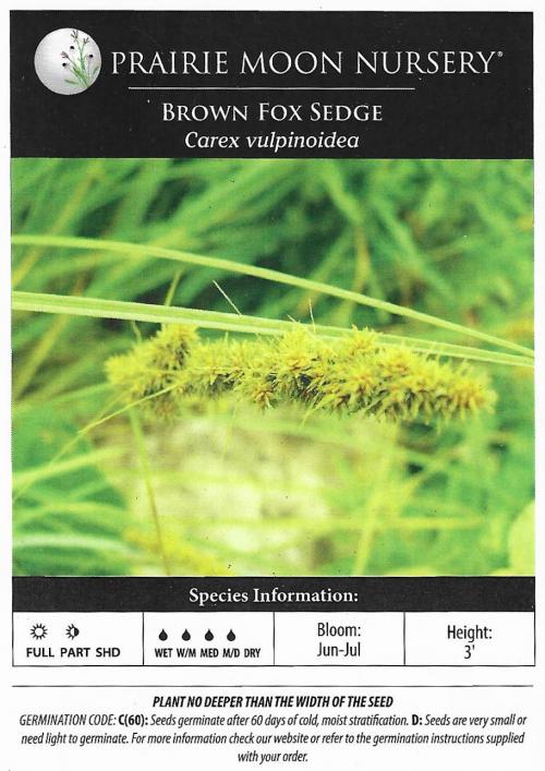 Carex vulpinoidea, Brown Fox Sedge  