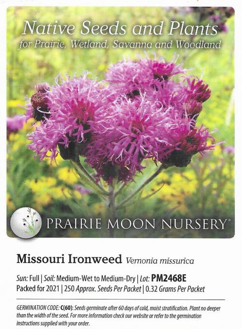 Vernonia missurica, Missouri Ironweed