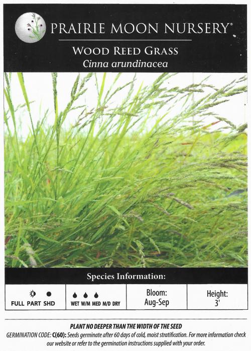 Cinna arundinacea, Stout Woodreed 