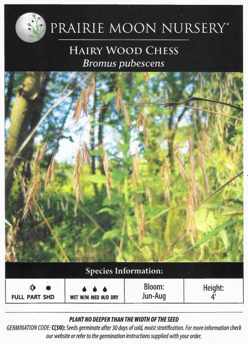 Bromus pubescens, Hairy Woodland Brome