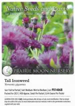 Vernonia gigantea, Tall Ironweed