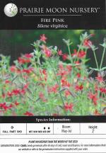 Silene virginica, Fire Pink
