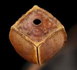 Ludwigia alternifolia, Seedbox 