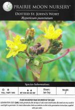 Hypericum punctatum, Spotted St. John&#039;s-wort